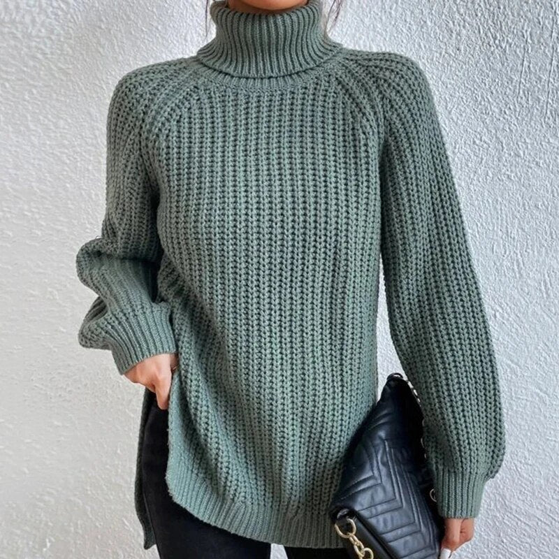 Newly Knitted Fitted Turtleneck Sweater