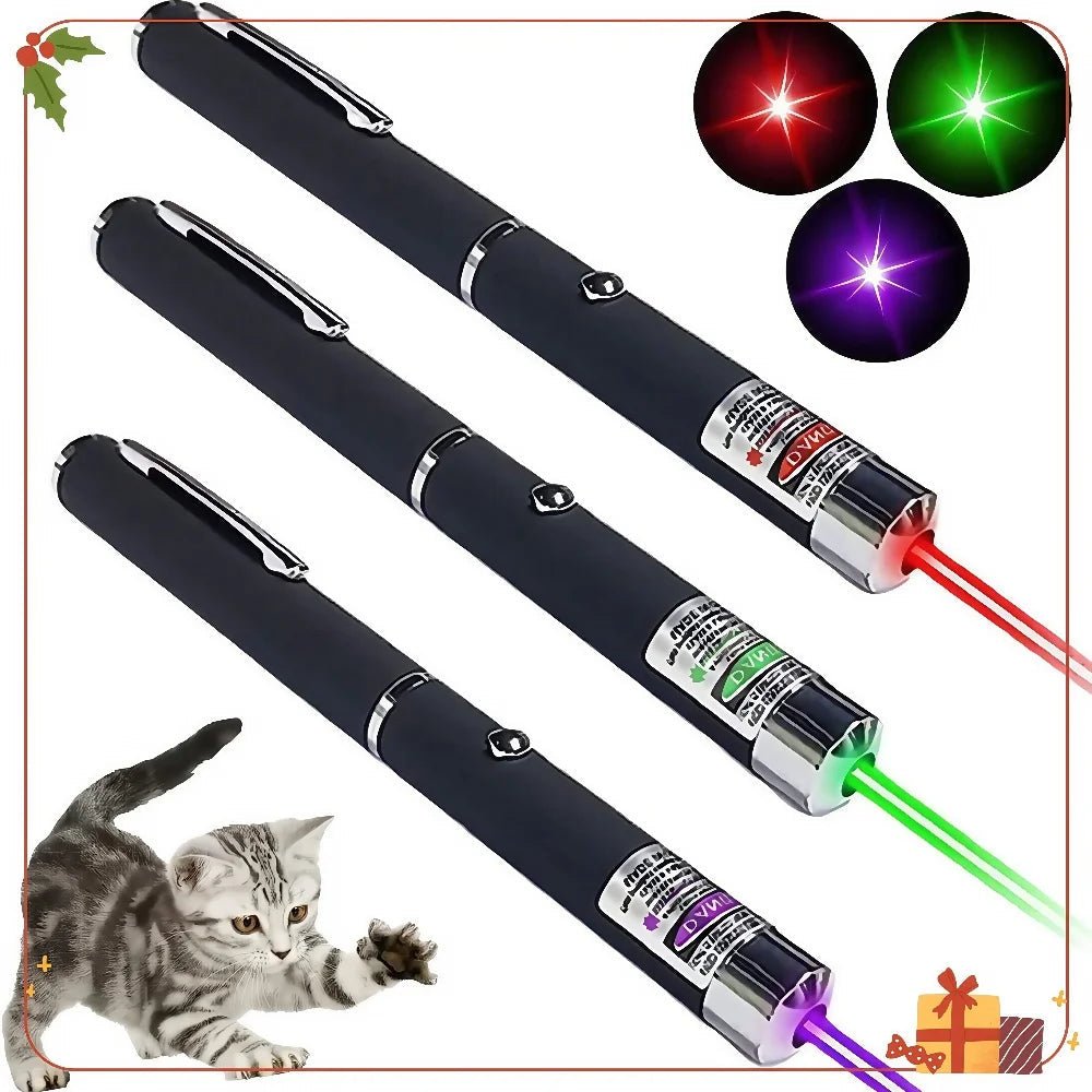 Compact Laser Play & Light Combo for Pets