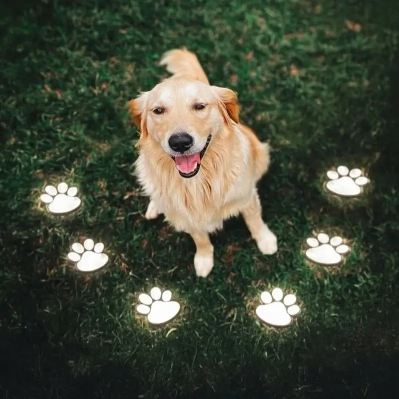 Charming Solar Light with Paw Print for Outdoor Spaces