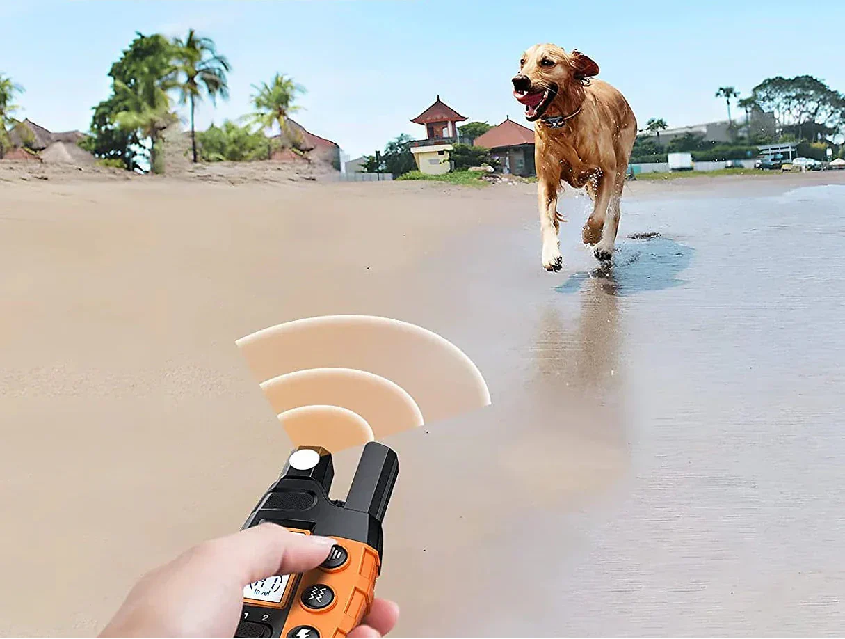 Long-Range Waterproof Dog Training Collar with Custom Modes