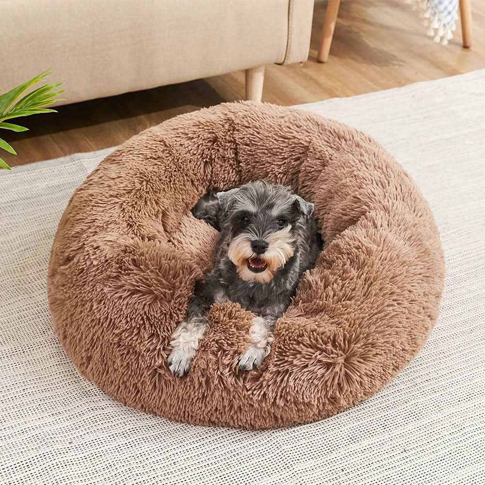 Cozy Comfort Dog Bed for Ultimate Relaxation and Sleep