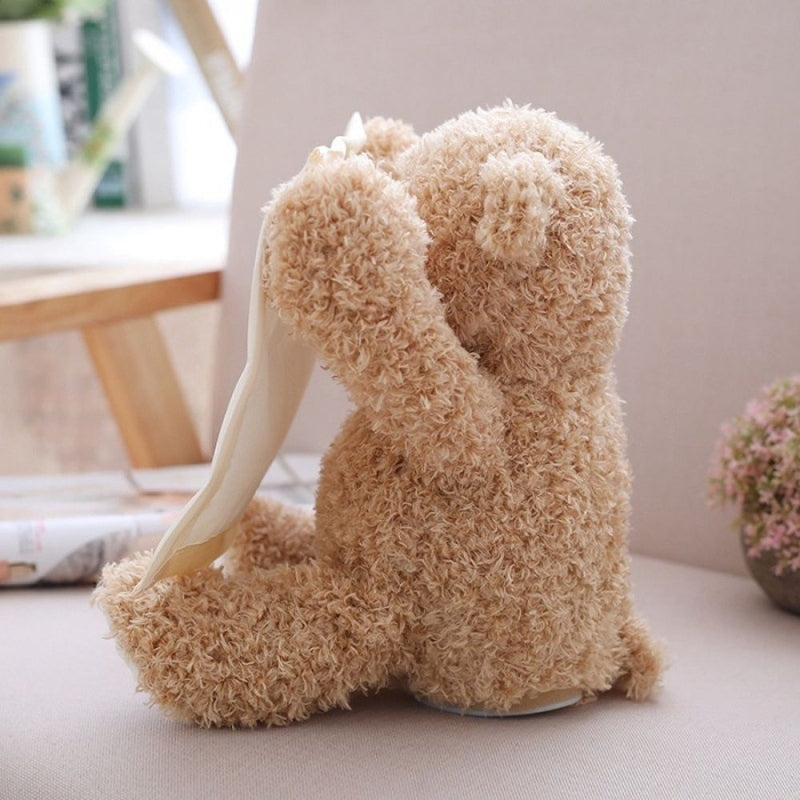 Hide and Seek Teddy Bear Toy
