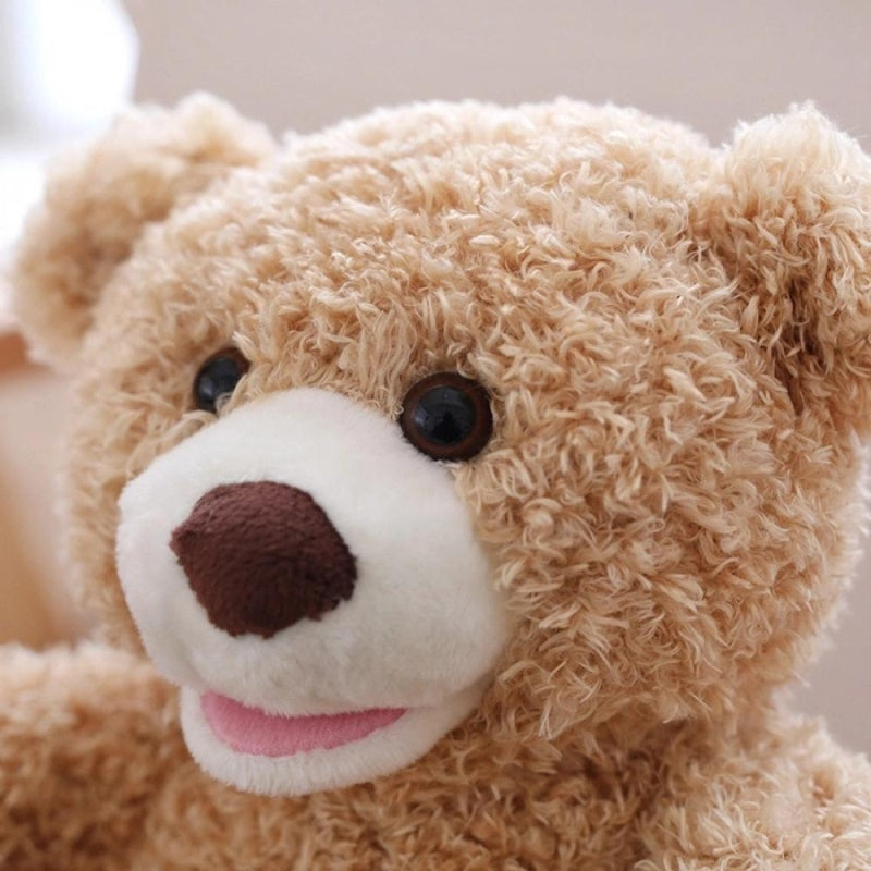 Hide and Seek Teddy Bear Toy