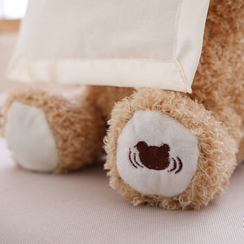 Hide and Seek Teddy Bear Toy