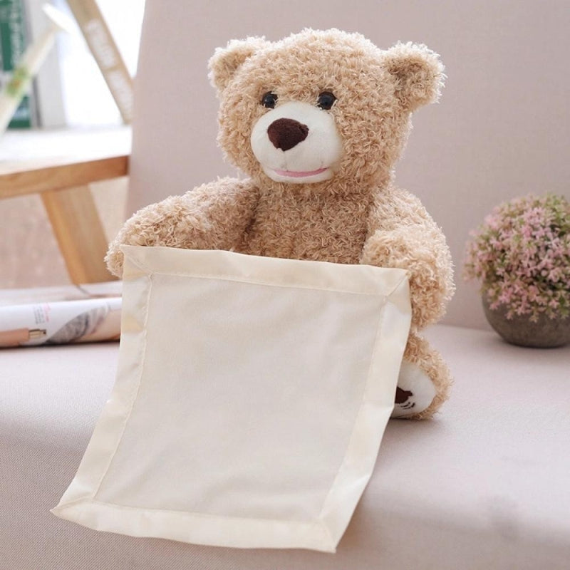 Hide and Seek Teddy Bear Toy