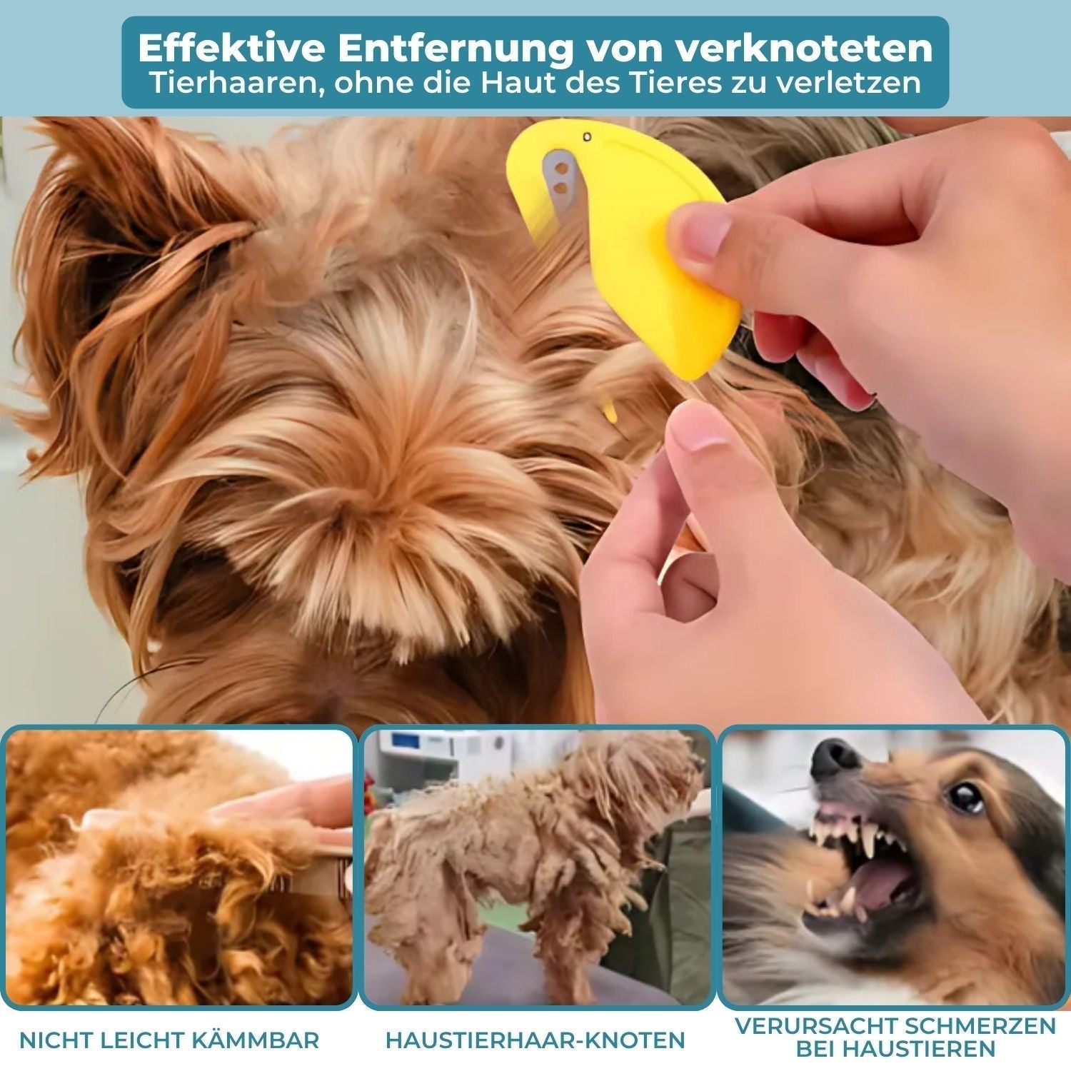 Flea Remover for Cats and Dogs - Pet Care Solution