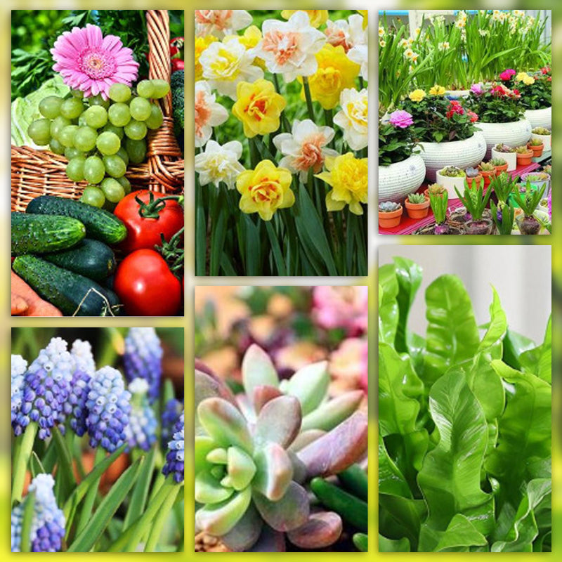 Plant Nutrition | Even Nutrient Distribution | Easy Plug-In