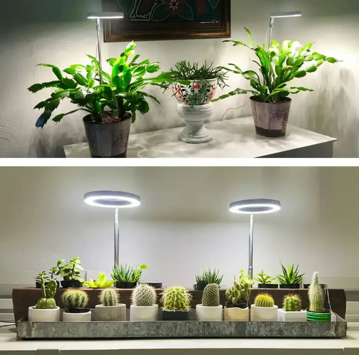 Full Spectrum Plant Growth Lamp with Timer and Dimming Function