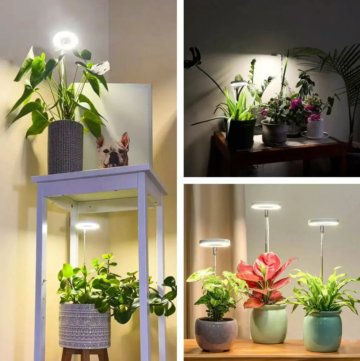 Full Spectrum Plant Growth Lamp with Timer and Dimming Function