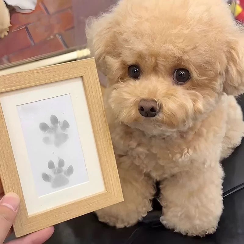 Paw Print Kit for Dogs and Cats