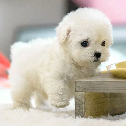 Interactive Plush Puppy Toy – Responds to Movement and Sounds