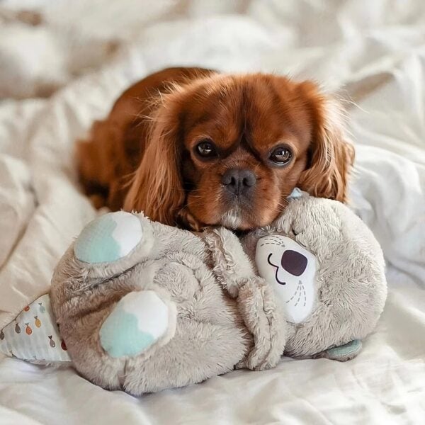 Stuffed Animal | Pet Cuddly Toy | Heartbeat Simulation Comfort
