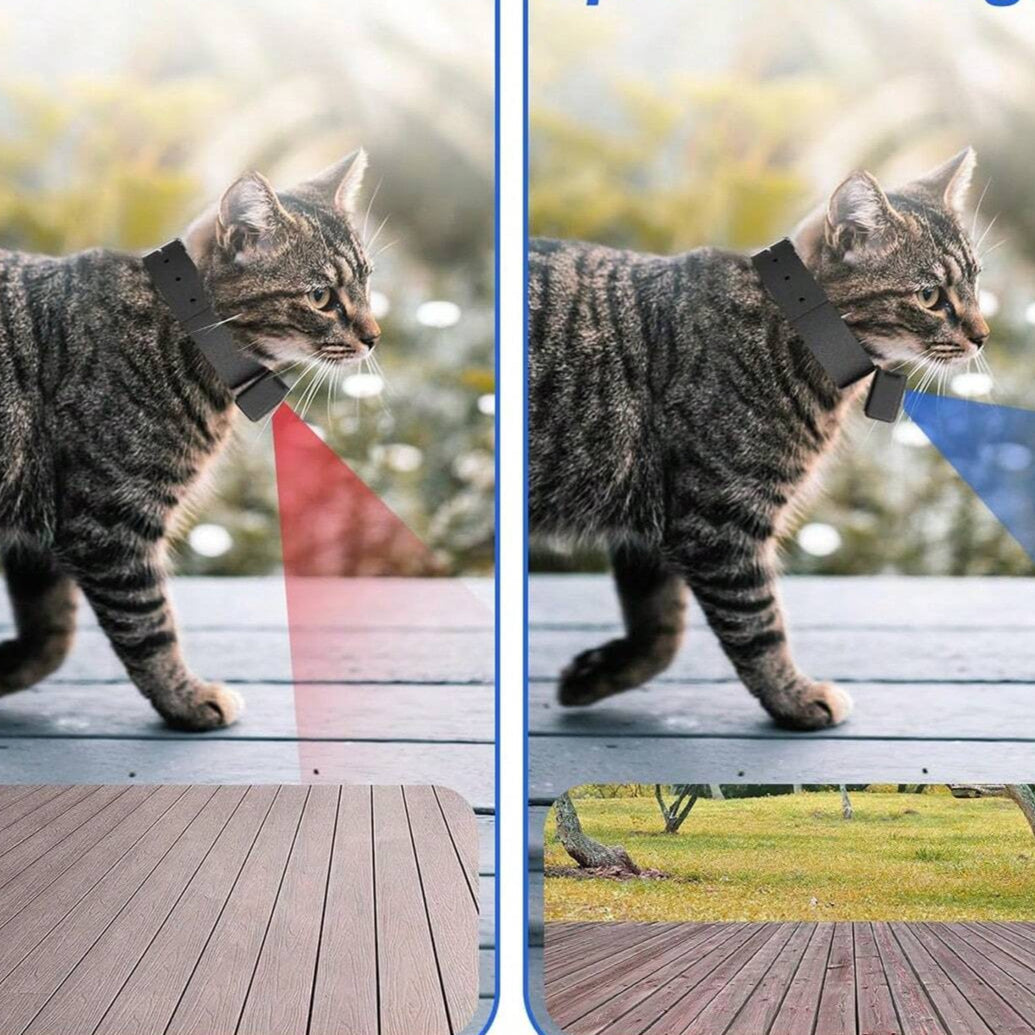 Interactive Pet Adventure Camera with 1080P HD Recording