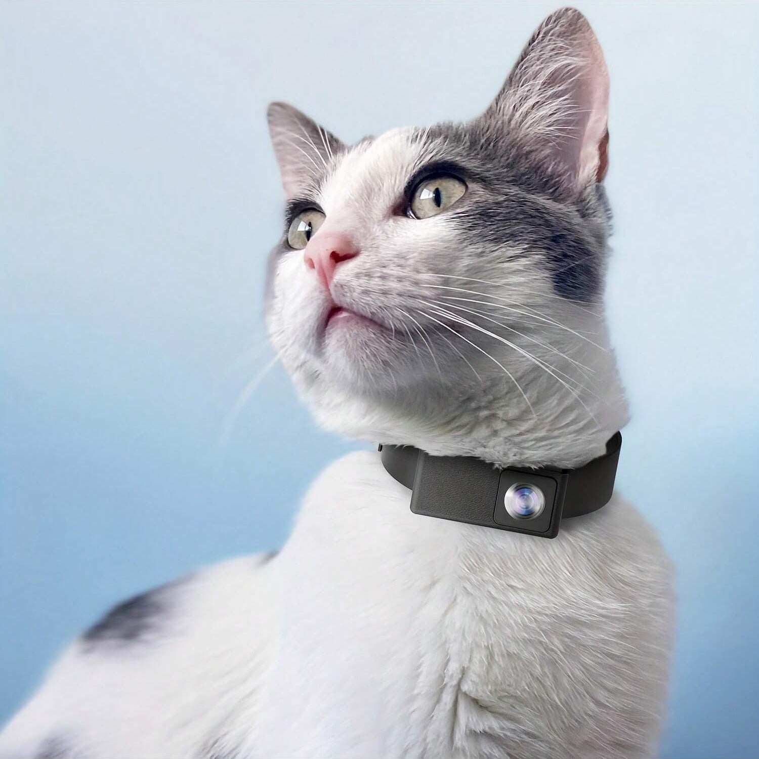 Interactive Pet Adventure Camera with 1080P HD Recording