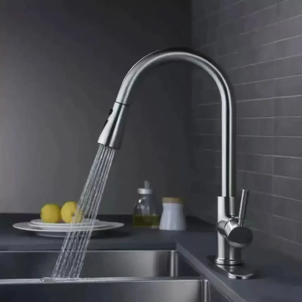 Kitchen Faucet Sprayer with Pull-Out Function