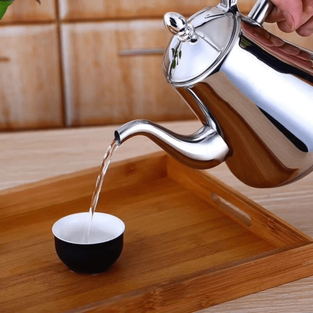 SleekSteel Induction Kettle with Integrated Purification Filter