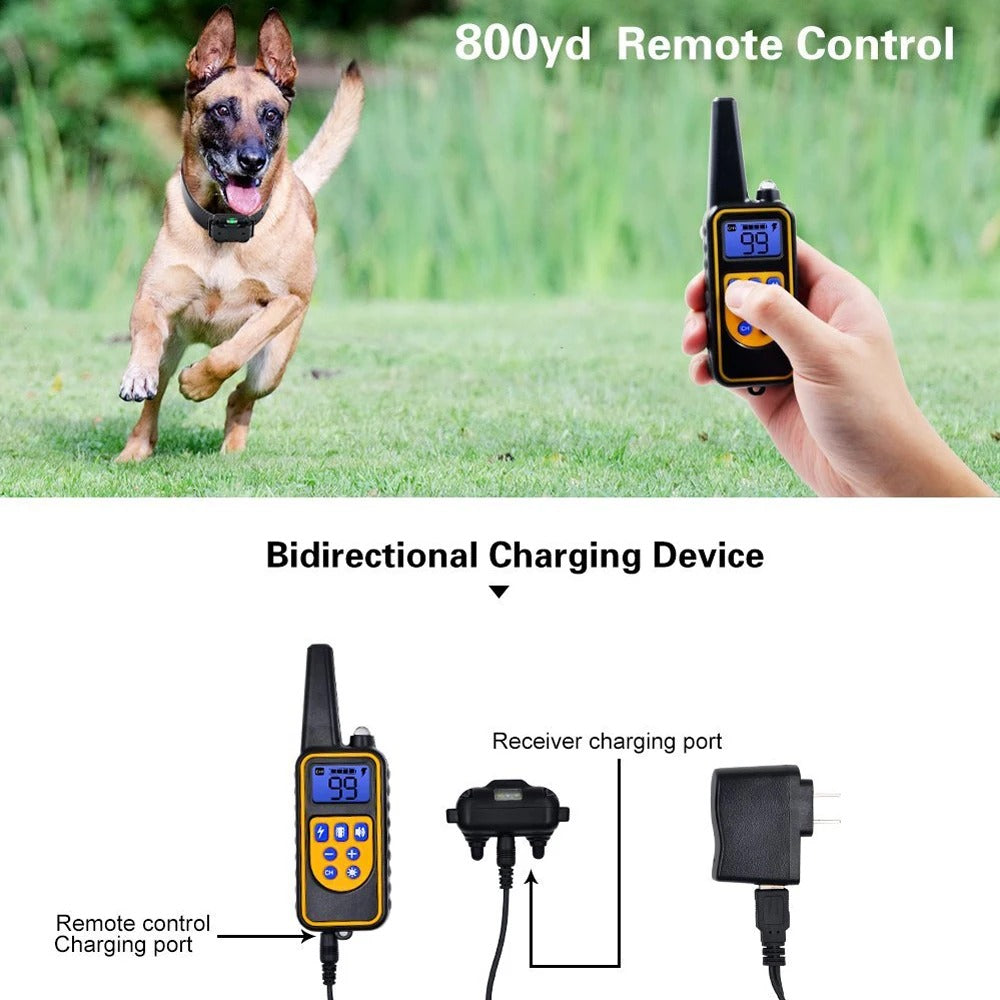 Waterproof Rechargeable Dog Training Collar with Remote Control