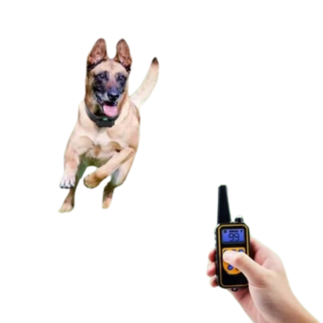 Waterproof Rechargeable Dog Training Collar with Remote Control