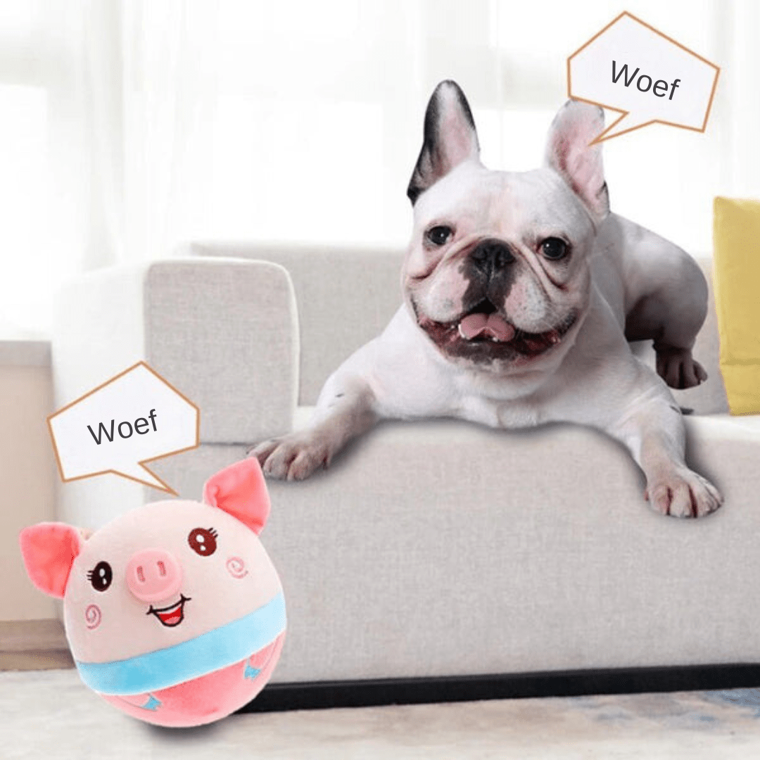 Interactive Smart Ball for Active Dogs
