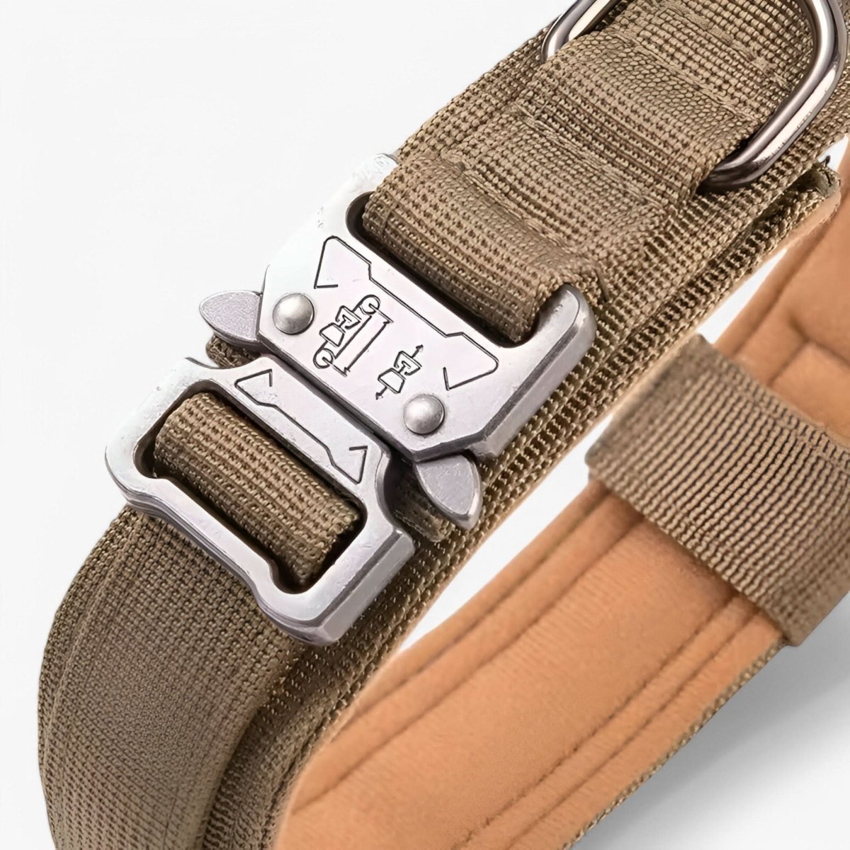 Versatile Adjustable Canine Collar Set – Perfect for Training and Daily Adventures