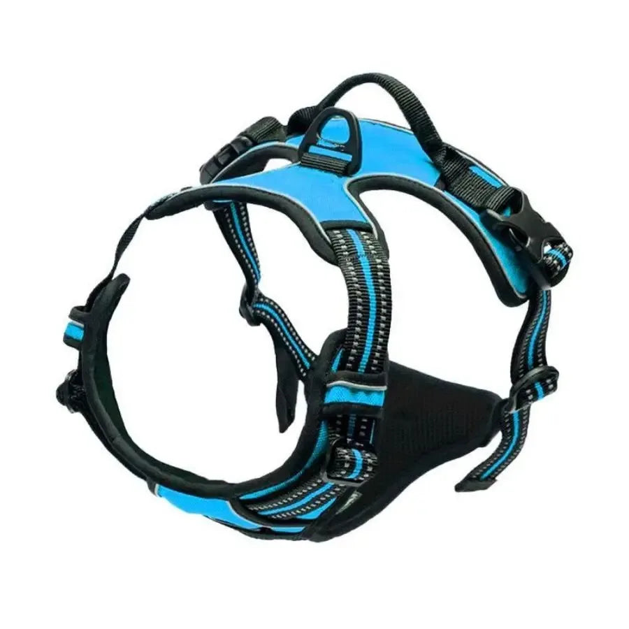 Chic Canine Bundle – Premium Leather Collar, Harness & Leash