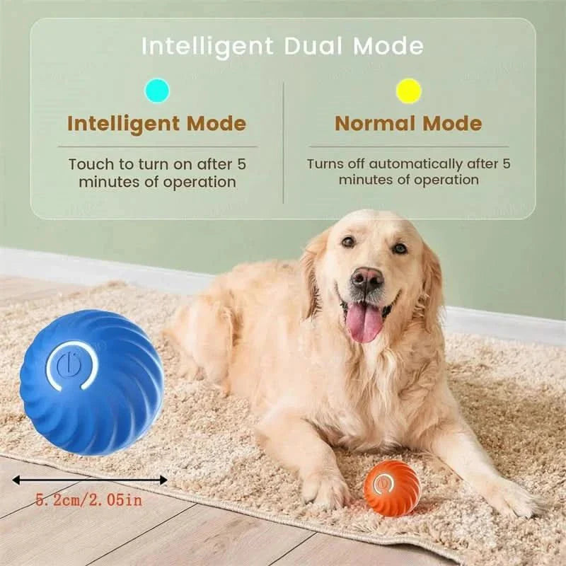 Rechargeable Playful Paws Ball for Dogs
