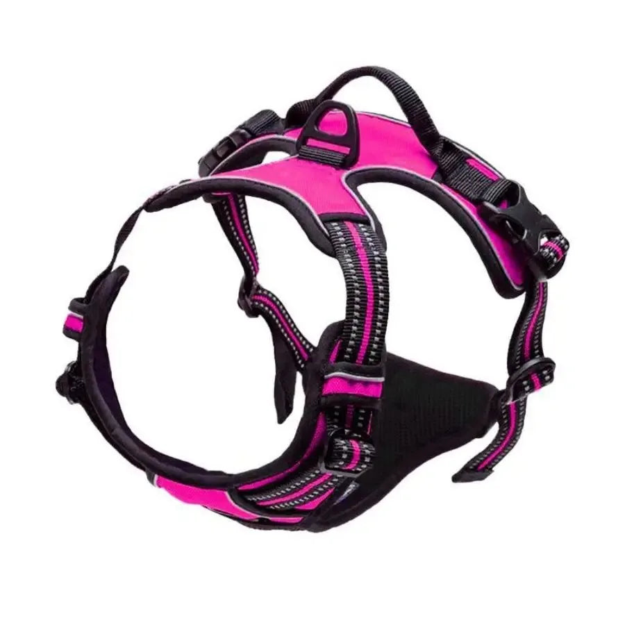 Chic Canine Bundle – Premium Leather Collar, Harness & Leash