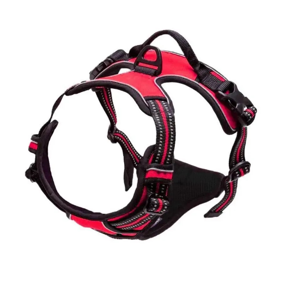 Chic Canine Bundle – Premium Leather Collar, Harness & Leash