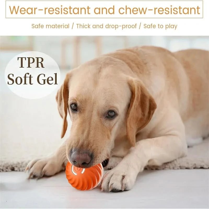 Rechargeable Playful Paws Ball for Dogs