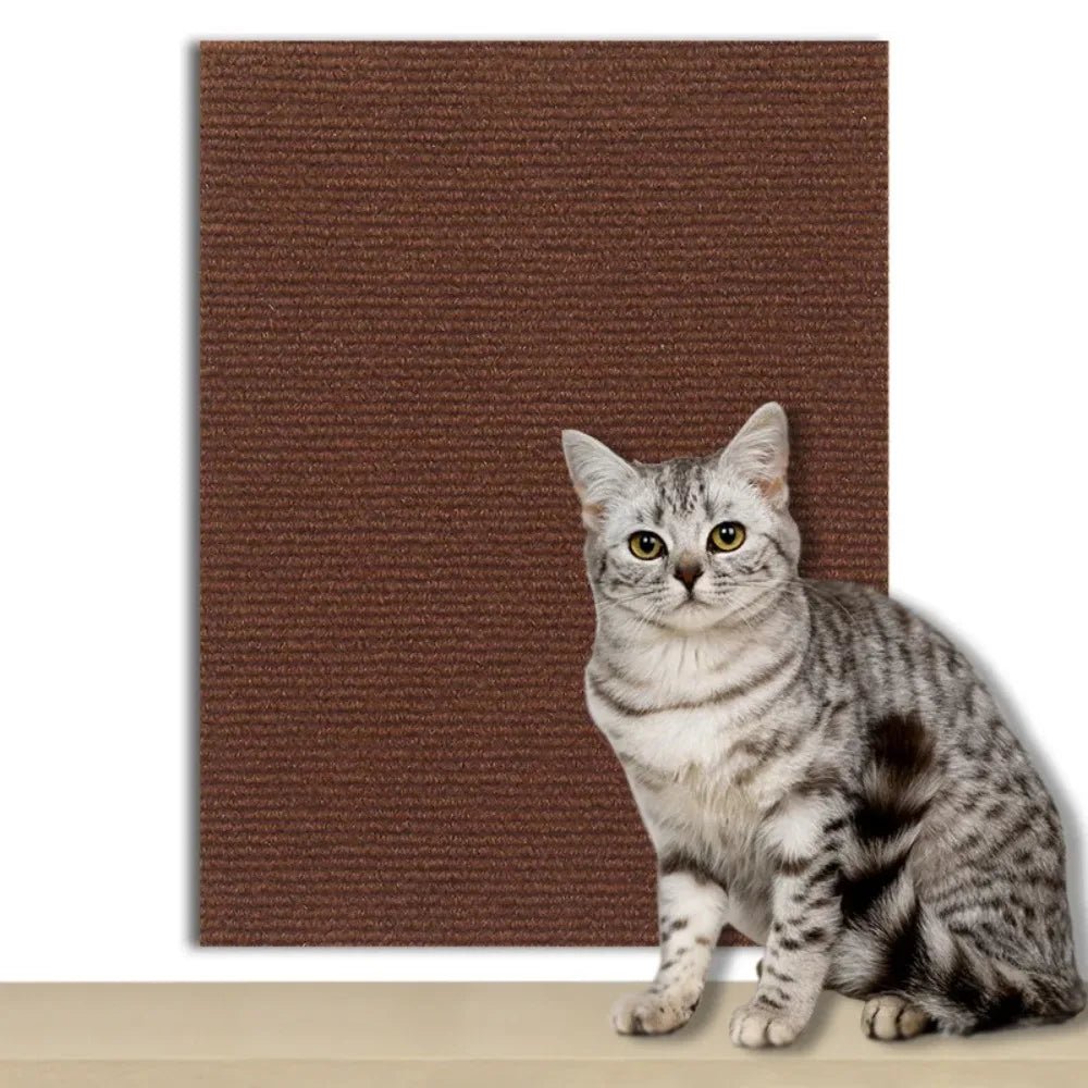 Transparent Scratch Shield to Protect Your Home from Cats