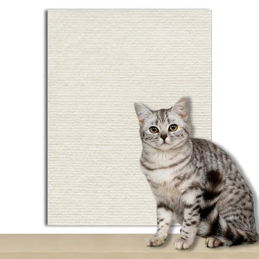 Transparent Scratch Shield to Protect Your Home from Cats