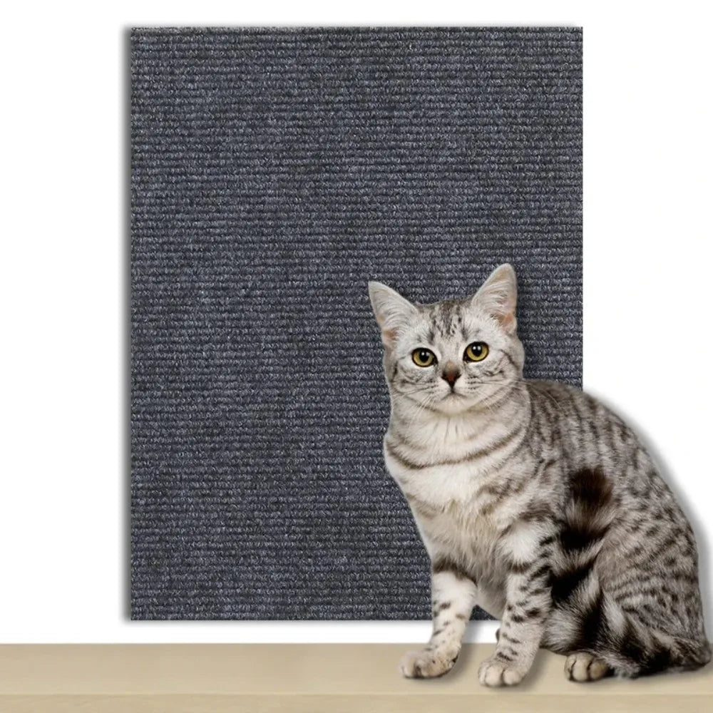 Transparent Scratch Shield to Protect Your Home from Cats