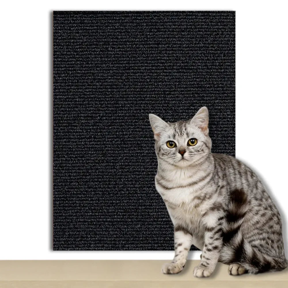 Transparent Scratch Shield to Protect Your Home from Cats