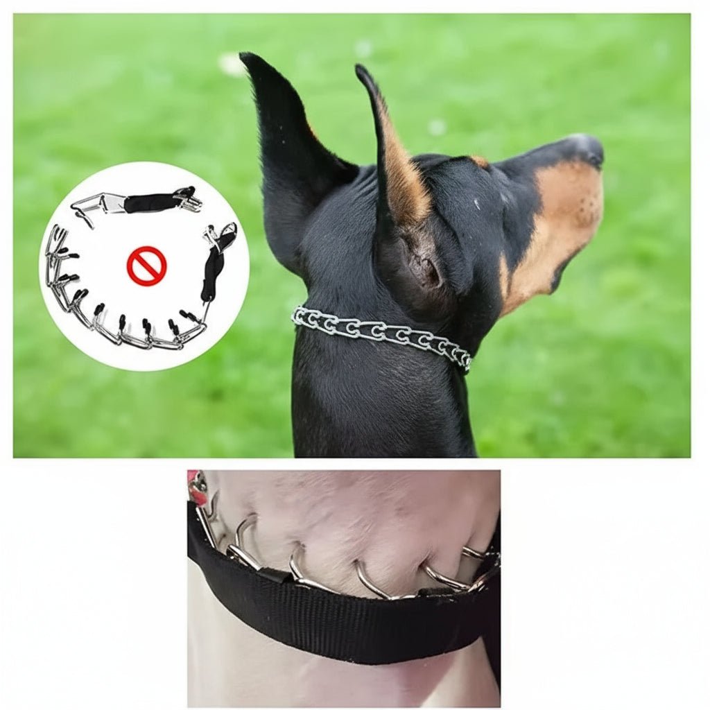Gentle Control Dog Training Collar with Steel Links and Soft Cover