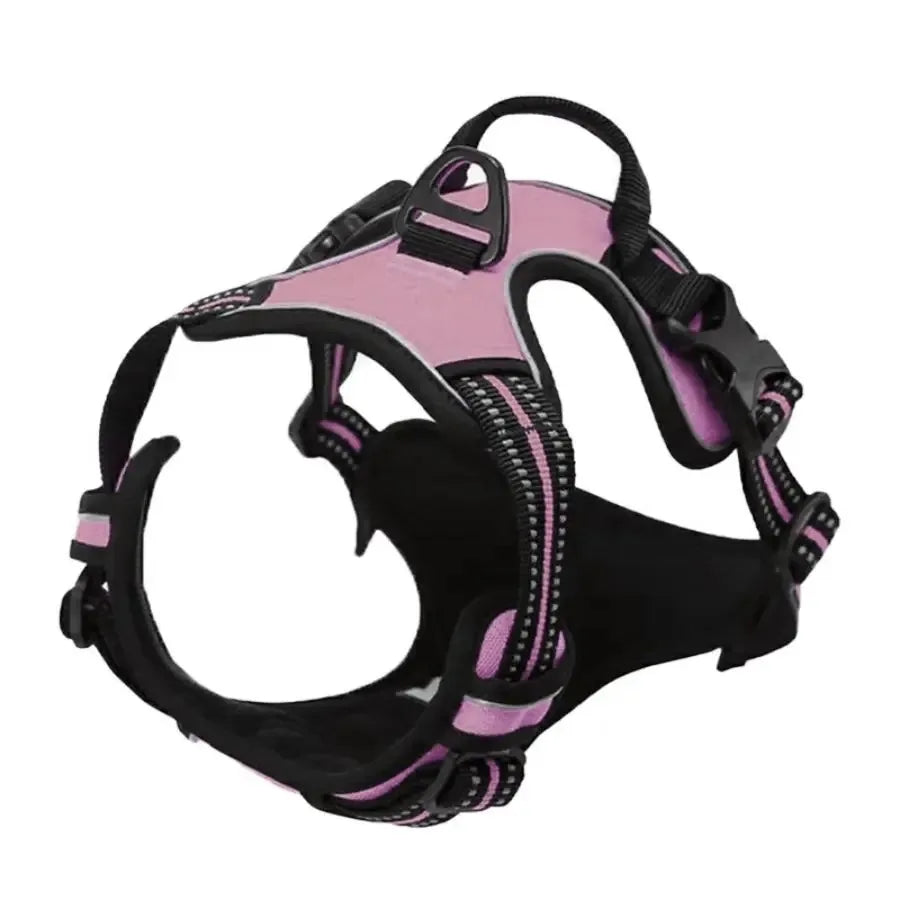 Chic Canine Bundle – Premium Leather Collar, Harness & Leash