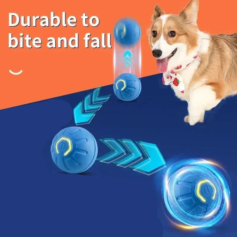 Rechargeable Playful Paws Ball for Dogs