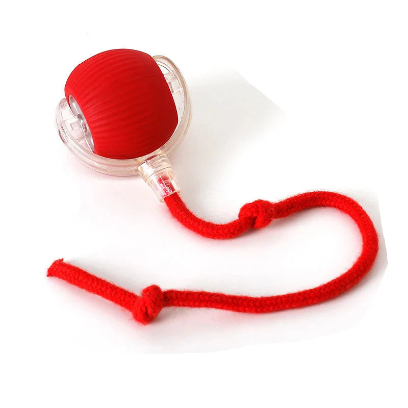 PetJoy Sphere – Engaging Smart Toy for Cats and Dogs