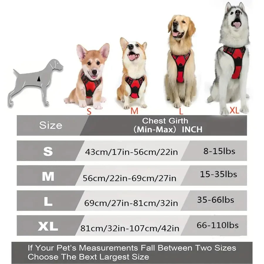 Chic Canine Bundle – Premium Leather Collar, Harness & Leash