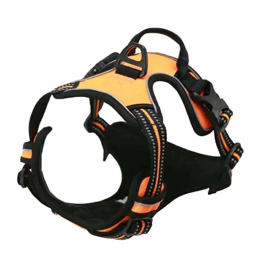 Chic Canine Bundle – Premium Leather Collar, Harness & Leash