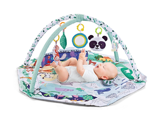 PlayNest 8-in-1 Baby Activity Mat for Learning and Fun