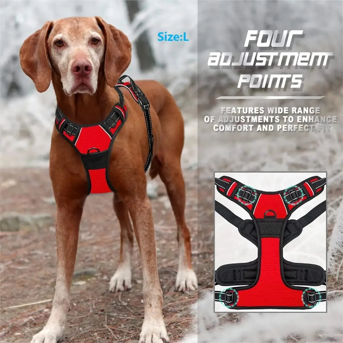 Chic Canine Bundle – Premium Leather Collar, Harness & Leash