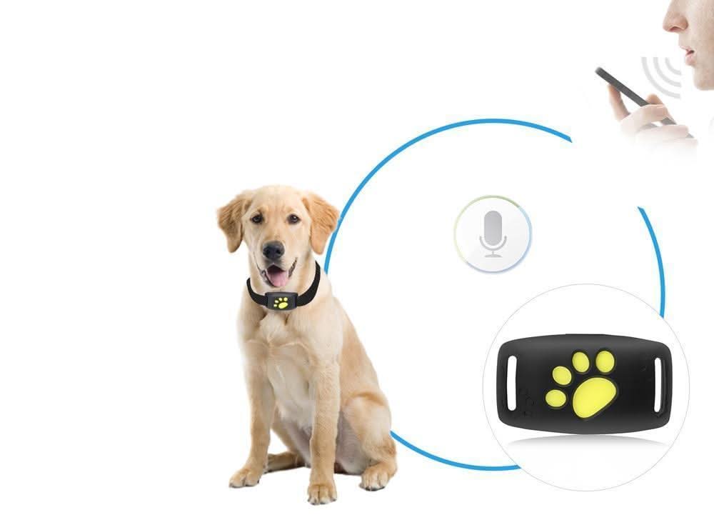 PurrSafe - Smart GPS Cat Collar for Real-Time Location Tracking