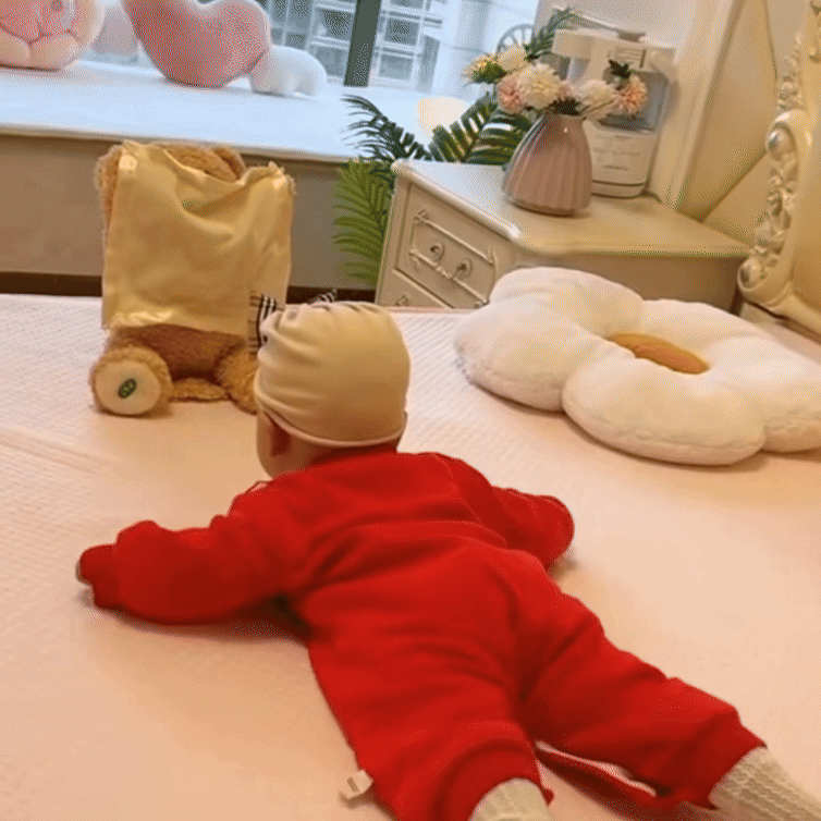 CuddleCompanion Interactive Plush Bear for Engaging Learning
