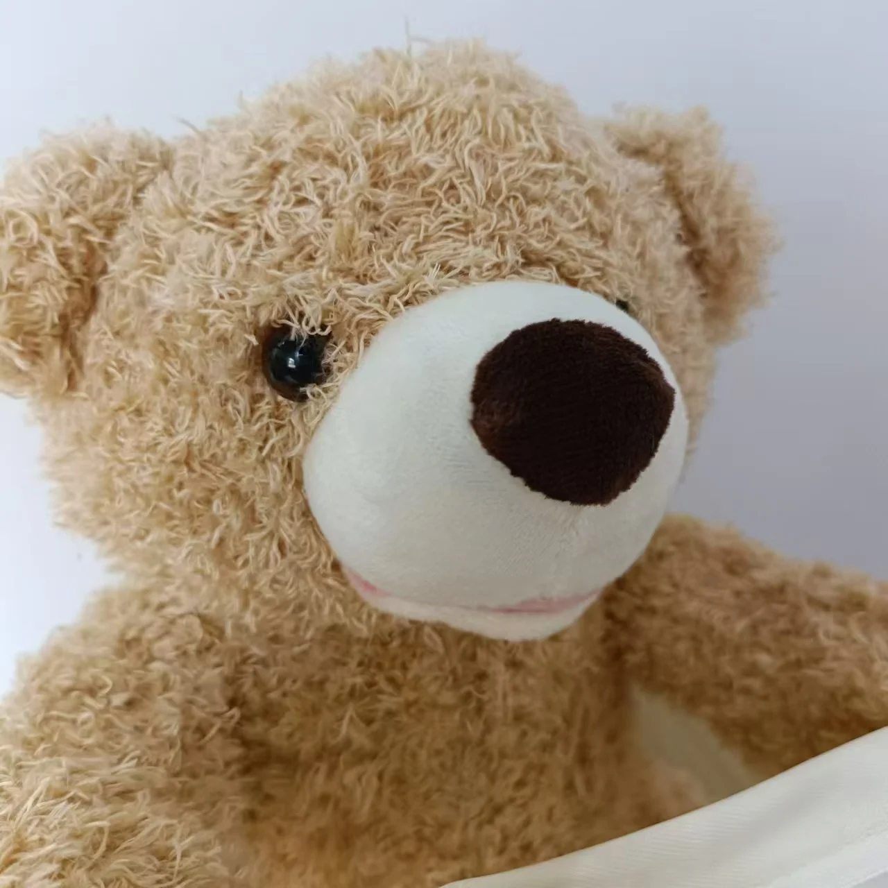 CuddleCompanion Interactive Plush Bear for Engaging Learning