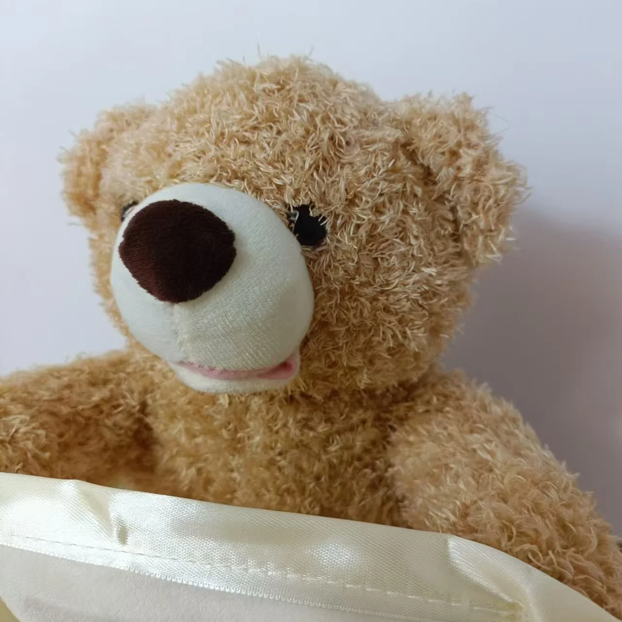 CuddleCompanion Interactive Plush Bear for Engaging Learning
