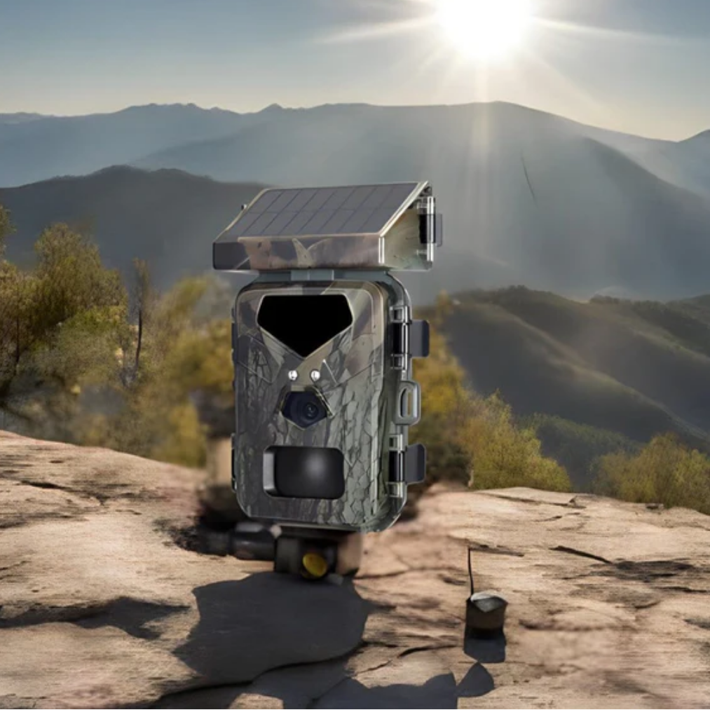 Eco-Friendly Outdoor Surveillance Camera for Wildlife & Property