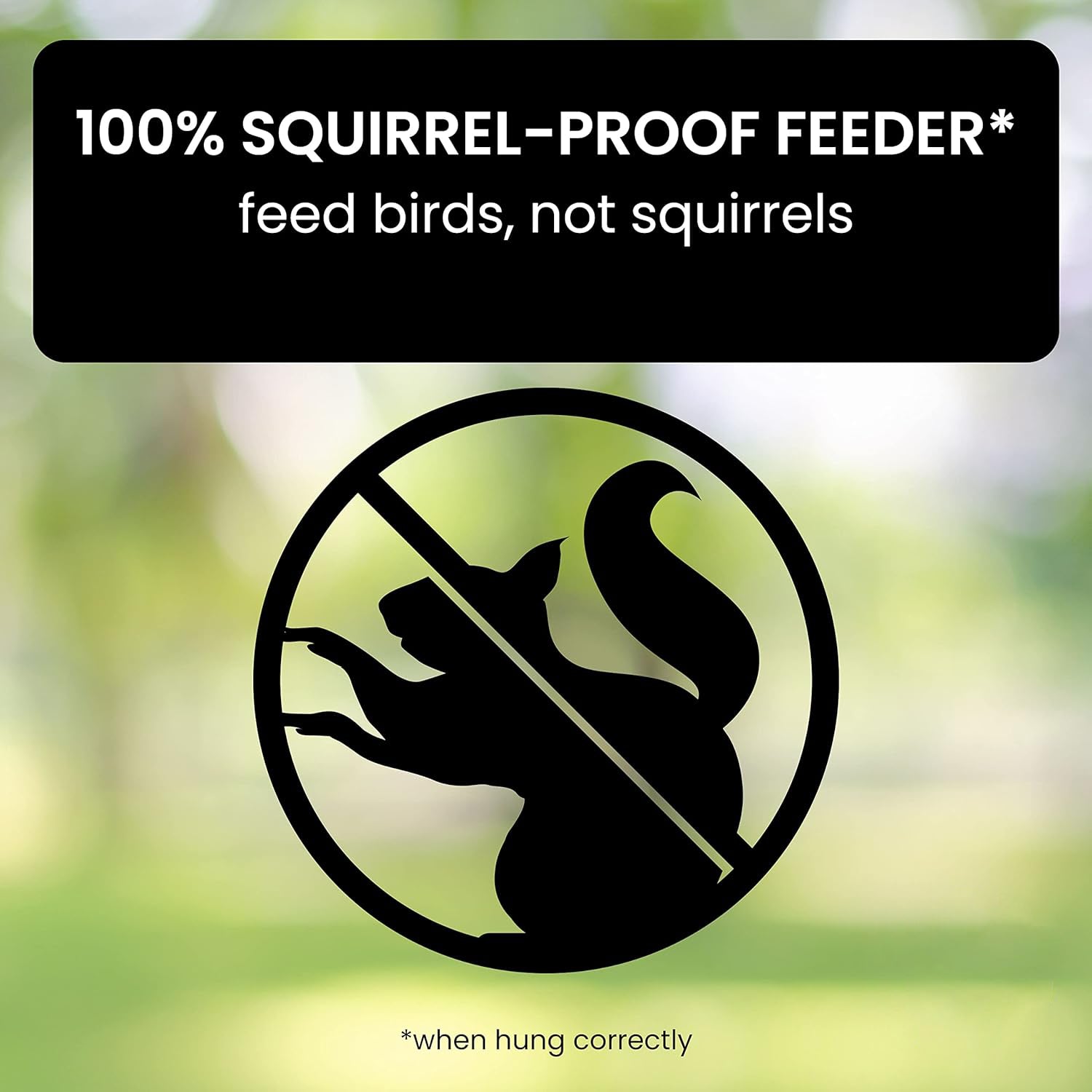 No-Squirrel Bird Feeder for Effortless Backyard Enjoyment