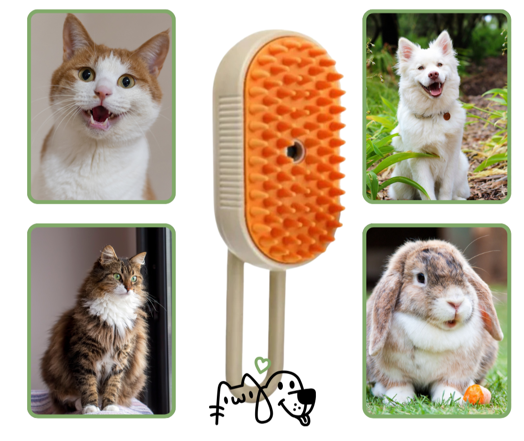 All-in-One Care Solution for Your Pet – SteamPaws