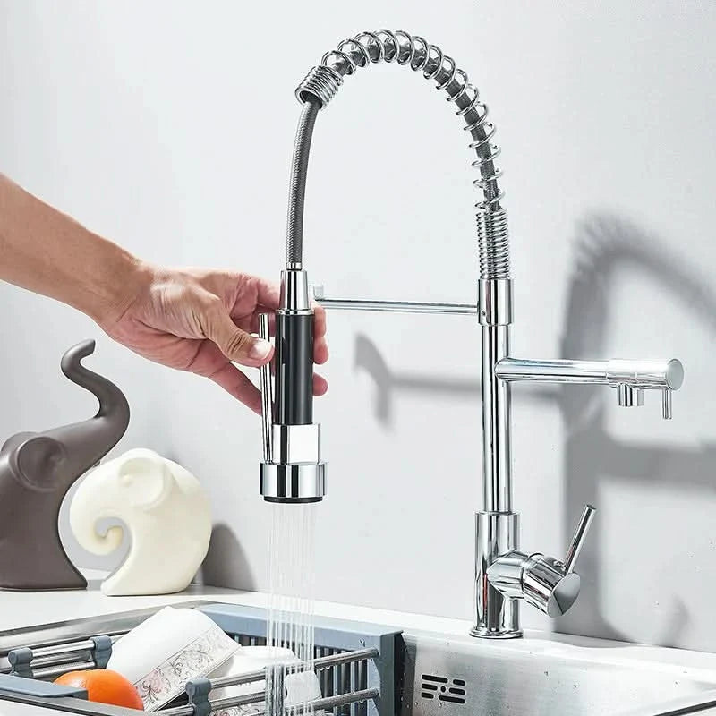 Pull Down Kitchen Faucet with Swivel Spout