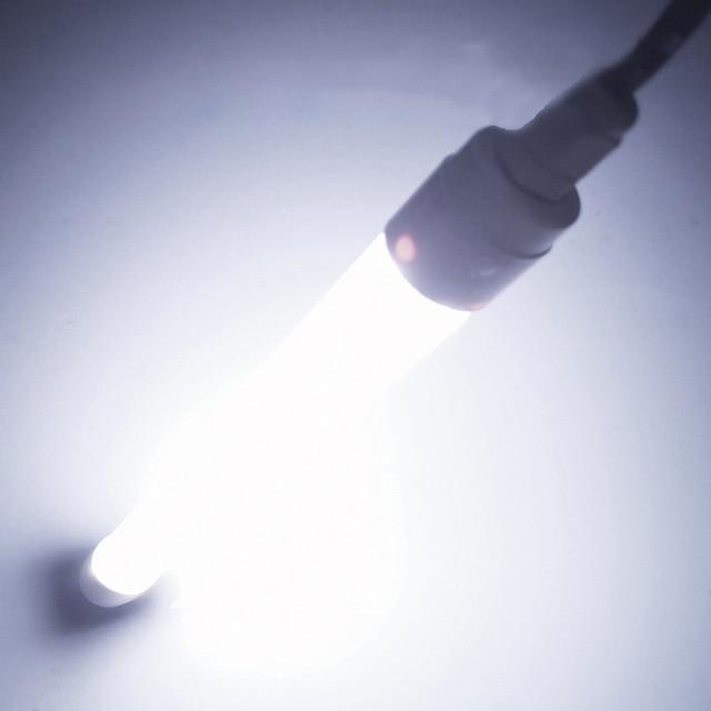 Underwater LED Angler's Light for Nighttime Fishing Success